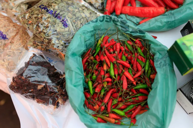Not All Heat Is Created Equal: The Real Reason Some Peppers Burn Your Lips and Others Torch Your Throat